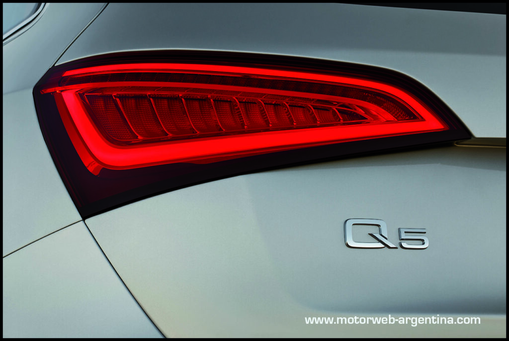 Audi Q5 /Detail