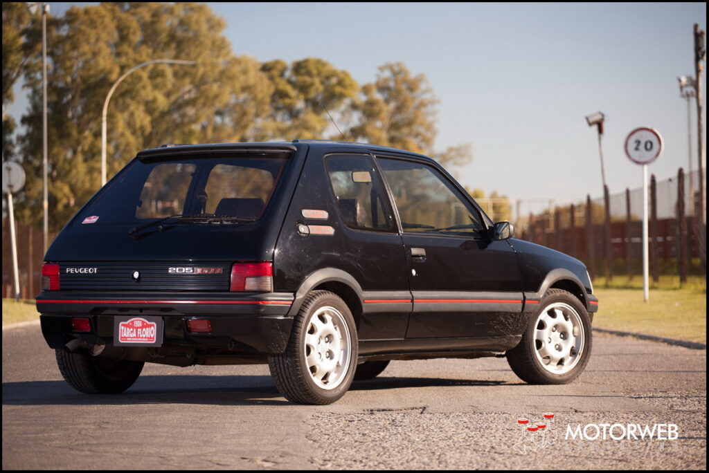 2014-06 MITOS Peugeot 205 GTI Argentina 10