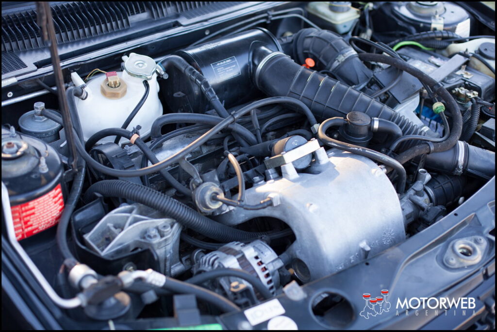 2014-06 MITOS Peugeot 205 GTI Argentina 39